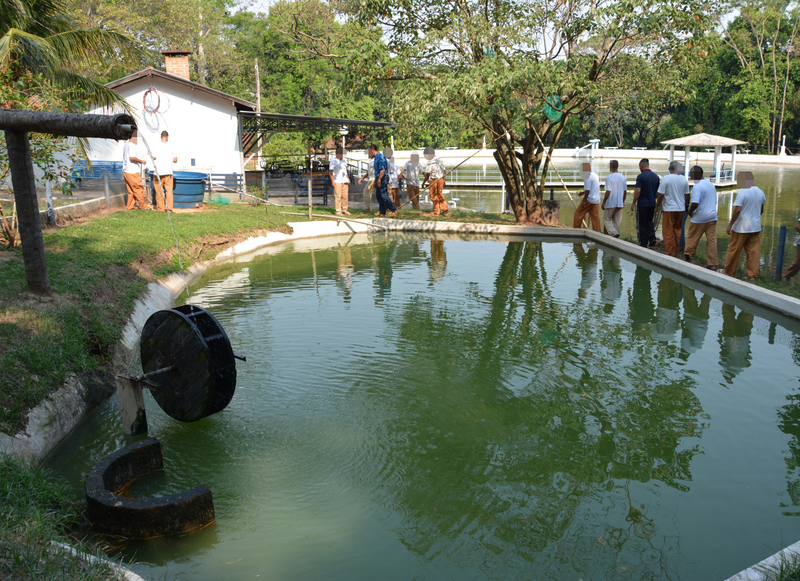 Aulas teóricas e práticas aconteceram no parque agrícola da unidade